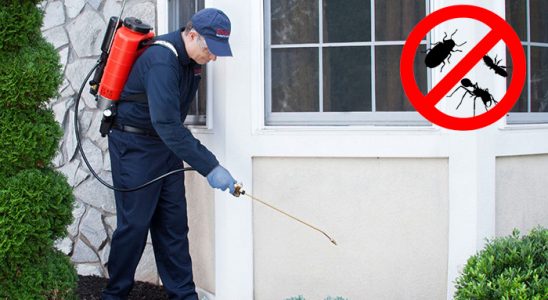 Savaştepe Hamam Böceği İlaçlama böcek ilaçlama ve haşere kontrolü — ilaclama-tr.com
